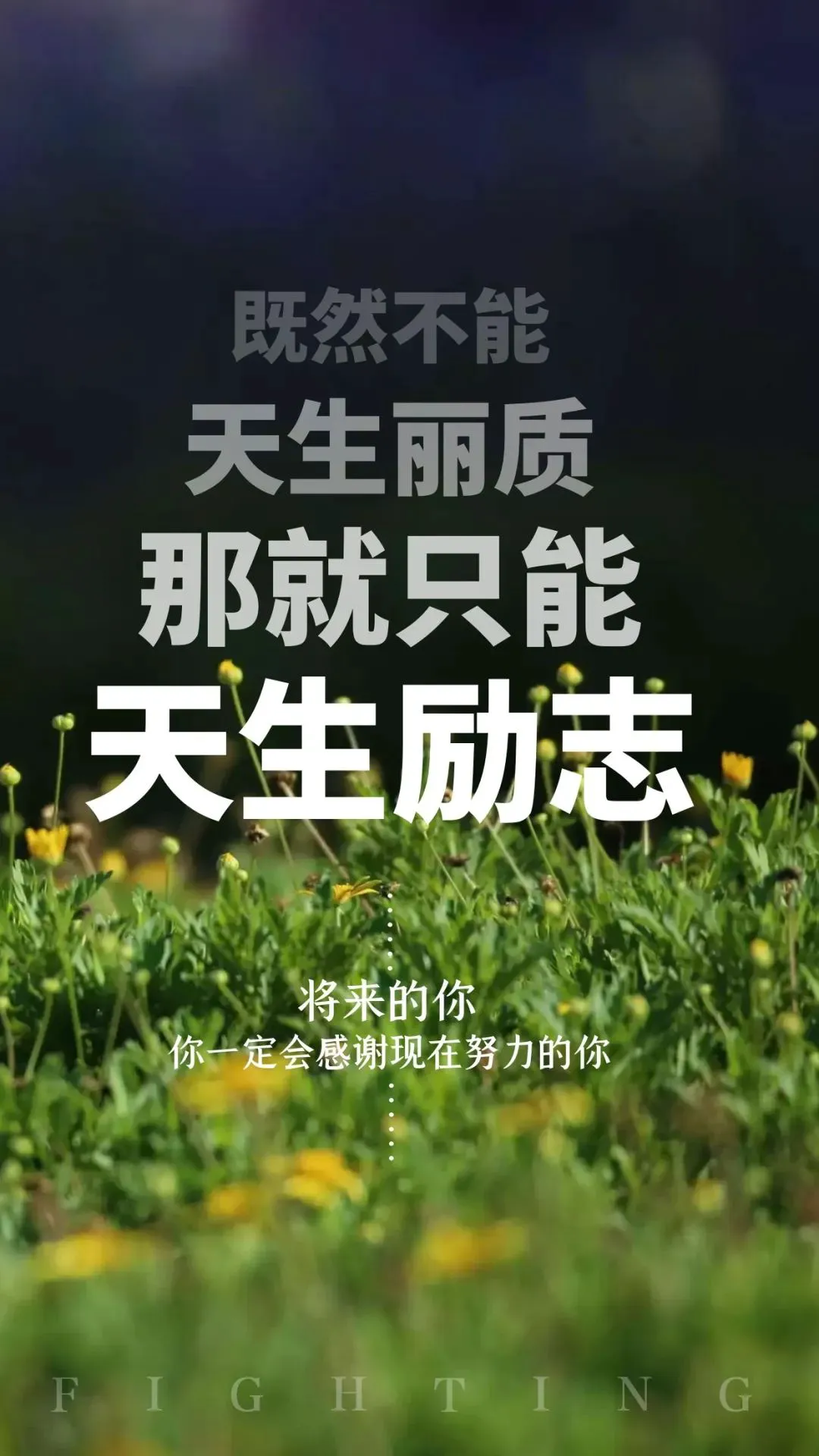 篮球训练师需要具备什么_2